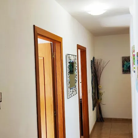 Apartment Edificio Patricia 2 Tenerife Sud San Isidro De Abona Santa Cruz San Isidro (Tenerife)